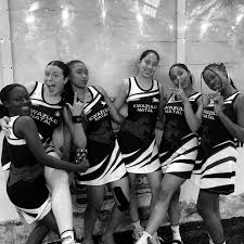 Image result for Pink Ladies Netball Club