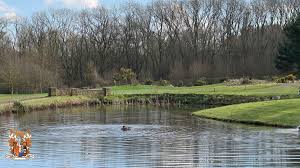 Image result for Waterton Park Golf Club Ltd