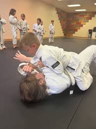 Image result for Hillsborough Judo Club