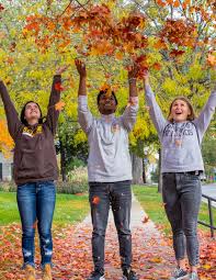 Image result for Princess Marie Louise Bowls Club