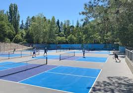 Image result for Lockerbie Pickleball Club