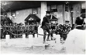 Image result for The Great War Experience, Essex