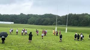 Image result for Higginshaw Arlfc