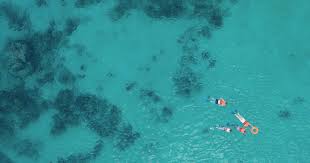 Image result for Dorking Snorkelling Club