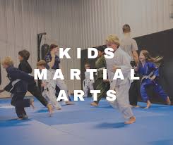 Image result for Heanor Ju-Jitsu Club