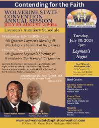 Image result for Holmans Smbc