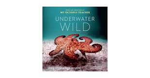 Image result for Stoke Willfield Octopush Club