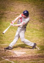 Image result for Taunton Muskets Baseball Club
