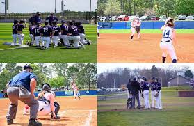 Image result for Brighton Beachcombers Softball Club