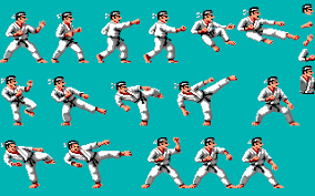 Image result for Devines Martial Arts