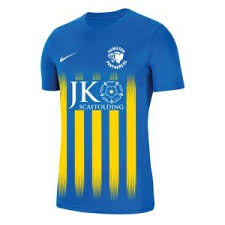 Image result for Hamilton Panthers Association Football Club