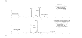 Attēlu rezultāti vaicājumam “Cordyceps farinosa”
