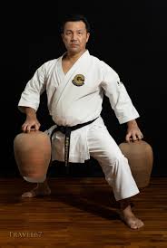 Image result for Zen Shin Seicho Do Adult Karate