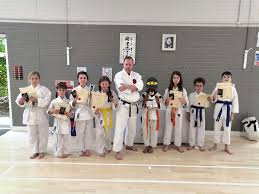Image result for Twyford Higashi Karate Club