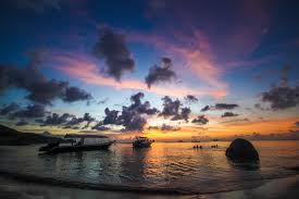 Image result for photos