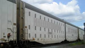 Image result for fema train