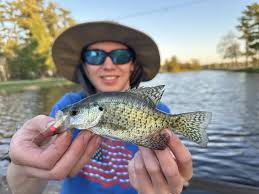 Image result for Pomoxis annularis