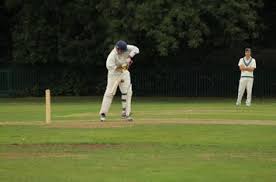 Image result for Woking and Horsell Cricket Club
