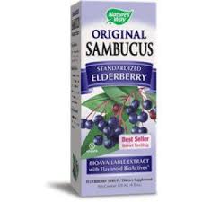 Attēlu rezultāti vaicājumam “Sambucus”