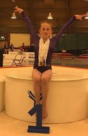 Image result for Zodiac Gymnastics Club