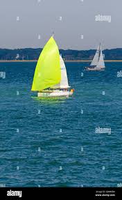 Image result for Pogo minitransat