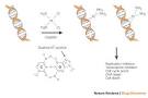 Figure 3 : Cellular processing of platinum anticancer drugs ...