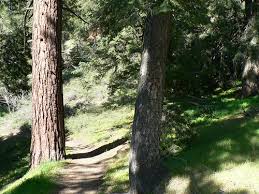 Image result for site:net pino◆MatthewZ8E