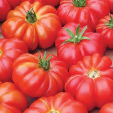 Afbeeldingsresultaat voor millionaire tomato