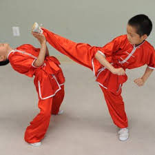 Image result for Professional  Martial Arts Academy