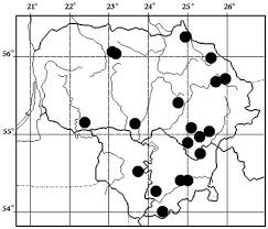 Attēlu rezultāti vaicājumam “Cetrelia sp.”