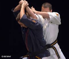 Image result for Tae-jitsu