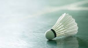 Image result for Lysander Badminton Club