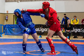 Image result for Combat Sambo