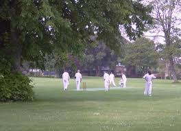 Image result for Pulborough Cricket Club
