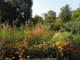 Image result for example