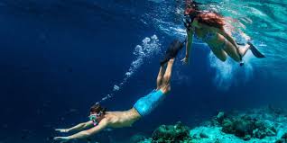 Image result for Wyndley NSC Snorkelling Club