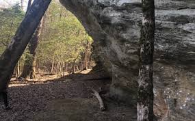 Image result for Lillington Bowling Club