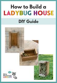 Image result for ladybug house