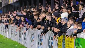 Image result for Cray Wanderers F C