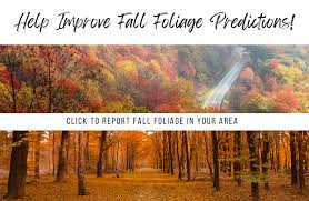 Bildergebnis für Fall…