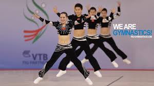 Image result for Aero Gymnastics Club