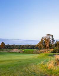 Image result for Carlow Golf Club