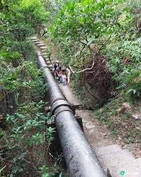 Image result for 水野X68仁義