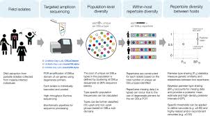 Attēlu rezultāti vaicājumam “Enteridium variabile plasmodium”