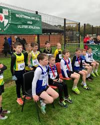 Image result for omagh harriers
