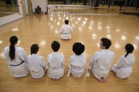 Image result for Ifield Shotokan Karate Club