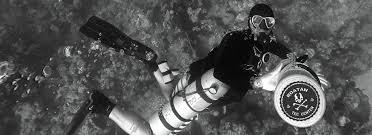 Image result for Headstream Divers