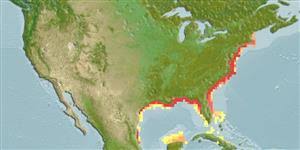 Image result for Dorosoma cepedianum