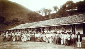 Image result for Group Senzala Scotland