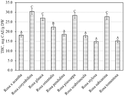 Attēlu rezultāti vaicājumam “Rosa subcanina fruit”